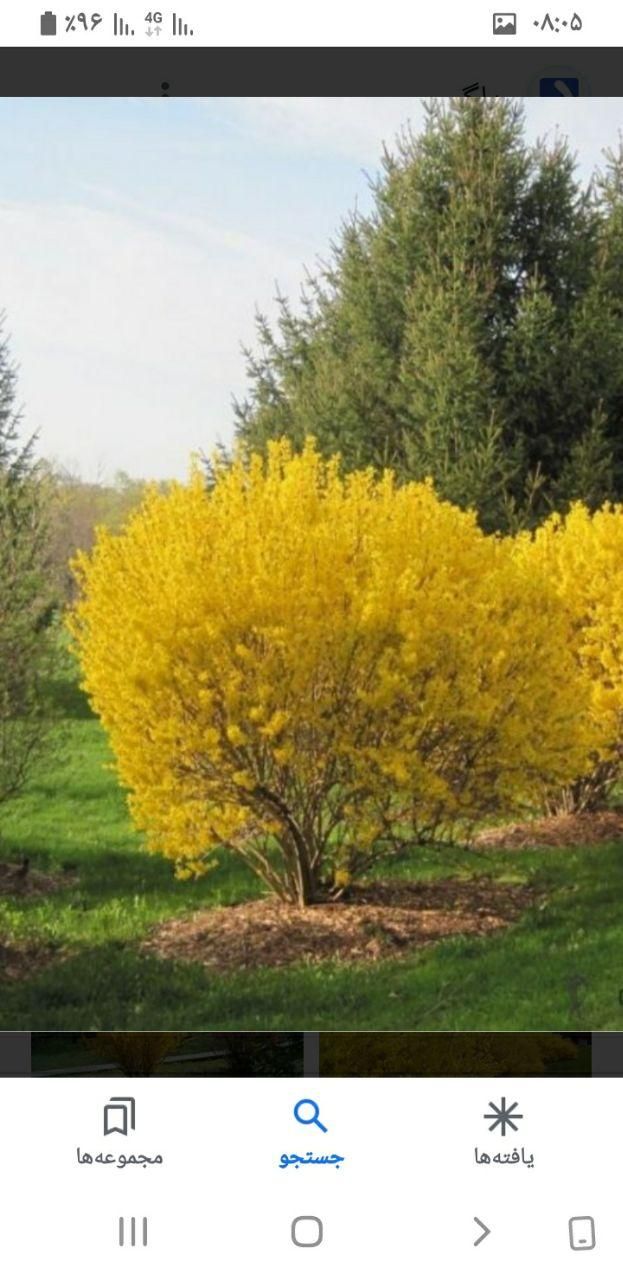 خدمات باغبانی|خدمات باغبانی و درختکاری|اصفهان, بوستان ناژوان|دیوار