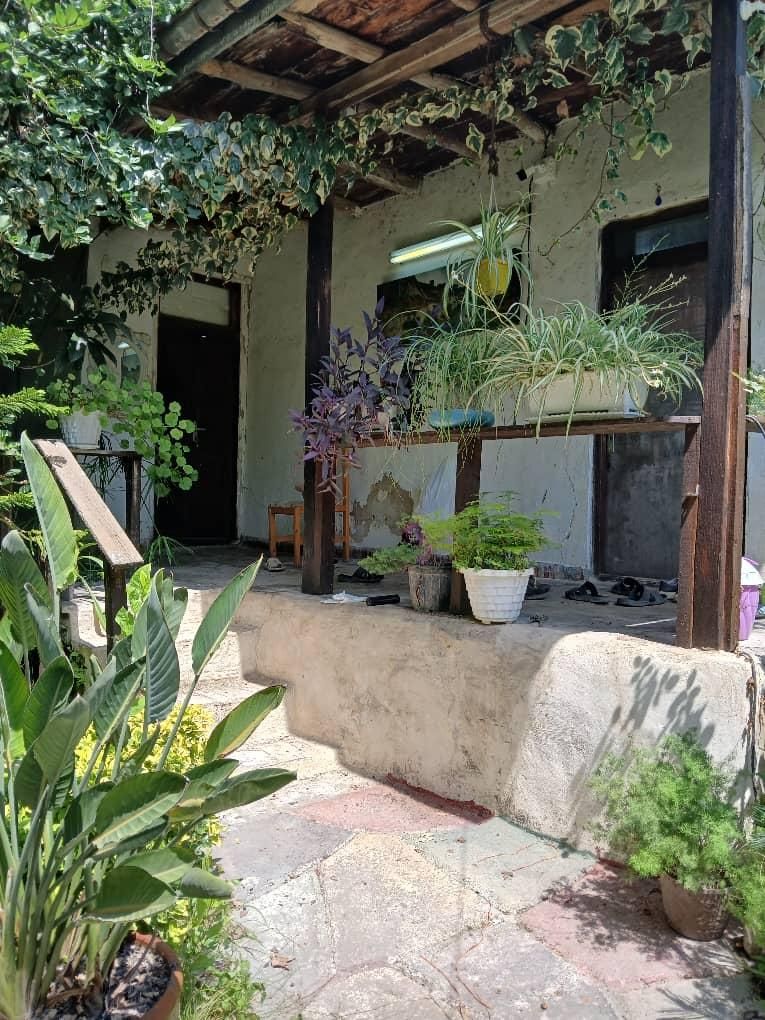 فروش ویلا باغ 1000 متری با باغ مرکبات بینظیر|فروش خانه و ویلا|امامزاده عبدالله, |دیوار