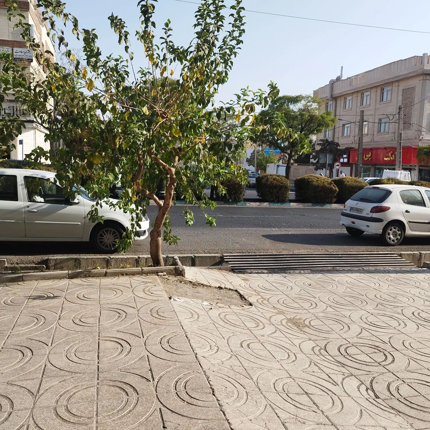 زمین/۵ طبقه تجاری اداری یا مسکونی/۱۷۳ متر|فروش زمین و ملک کلنگی|تهران, چیتگر جنوبی|دیوار