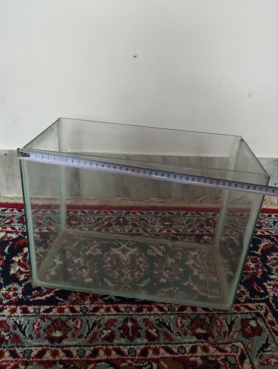 آکواریوم|ماهی|خمینی‌شهر, |دیوار