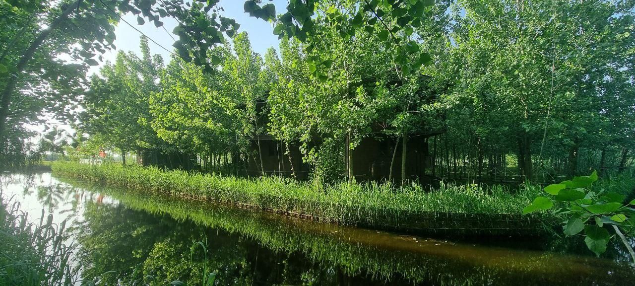 ۶۰ متری، جنگلی ، جزیره ای ، فول|فروش خانه و ویلا|تهران, شوش (باغ آذری)|دیوار
