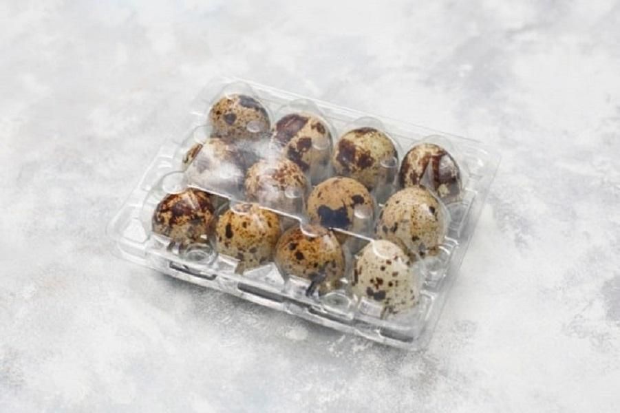 بهداشتی پک بسته بندی تخم بلدرچین|ظروف نگهدارنده، پلاستیکی، یکبارمصرف|زنجان, |دیوار