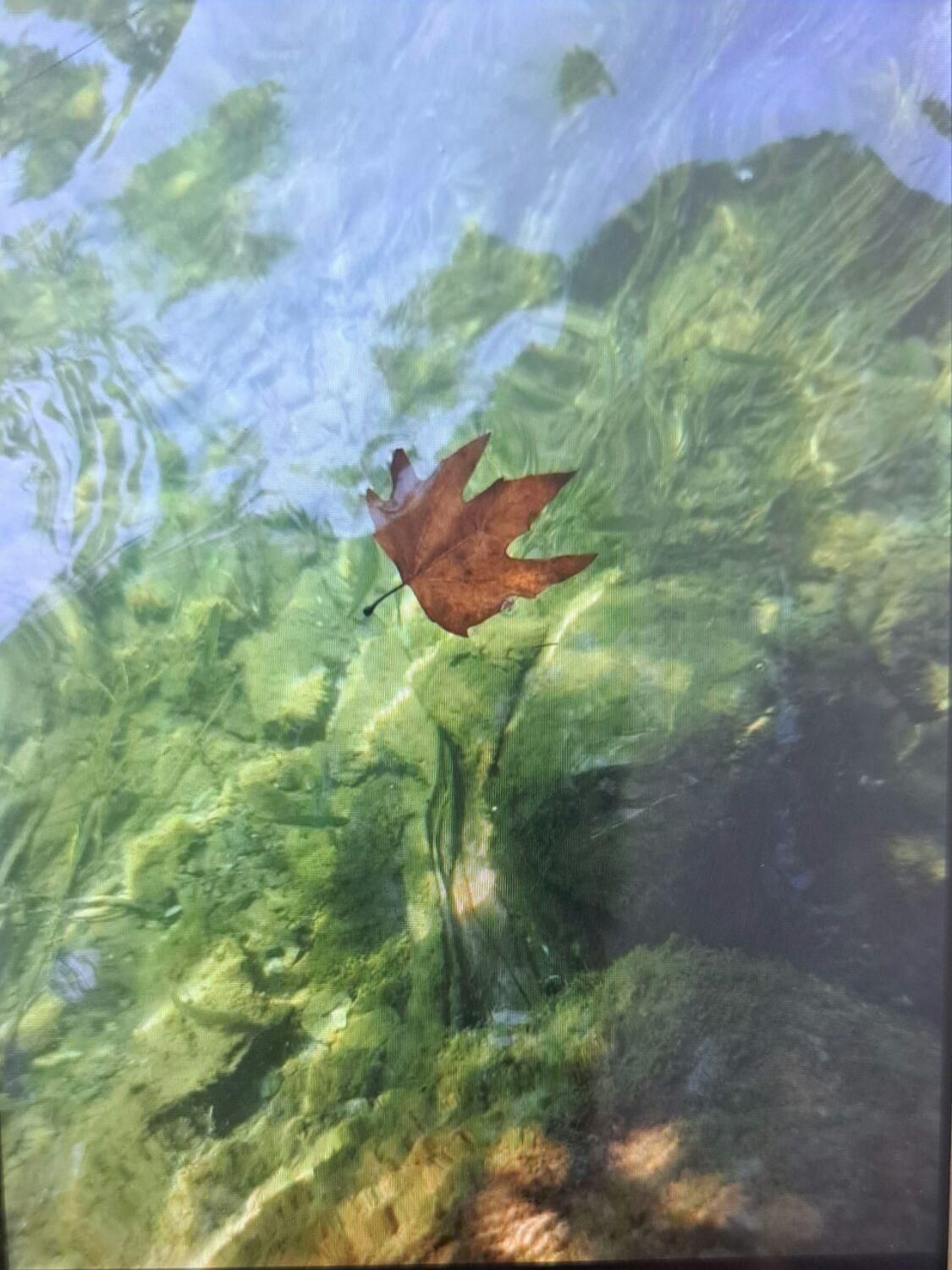 تانکر ابرسانی|خدمات حمل و نقل|چابهار, |دیوار