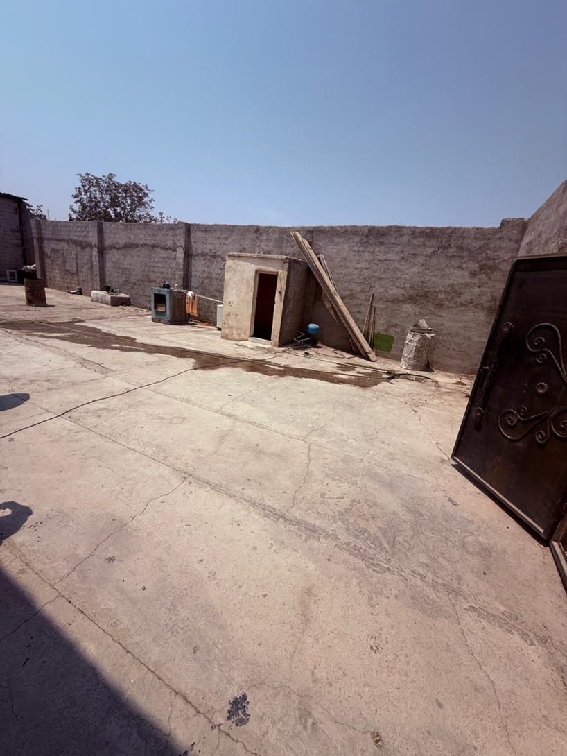 فروش سالن سوله ۵۵۰ متر باغستان|فروش دفتر صنعتی، کشاورزی، تجاری|باغستان, |دیوار