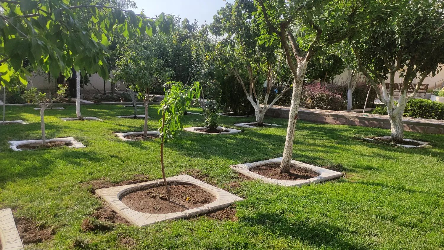 خدمات دانش بنیان کشاورزی توسط دکتری تخصصی کشاورزی|خدمات باغبانی و درختکاری|تبریز, |دیوار
