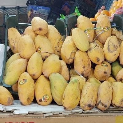 انبه، آلوچه برقانی، انجیر مشکی و غیره|خوردنی و آشامیدنی|اصفهان, دشتستان|دیوار