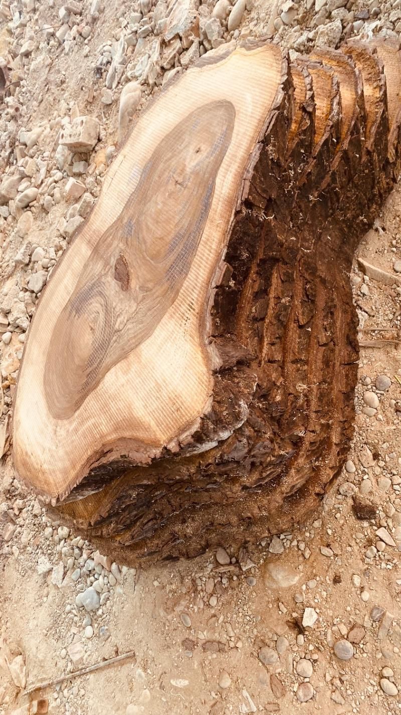 خدمات برش چوب با رام و فلکه|خدمات پیشه و مهارت|قائمشهر, |دیوار