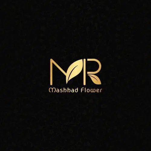 استخدام خانم|استخدام هنری و رسانه|مشهد, امیر|دیوار