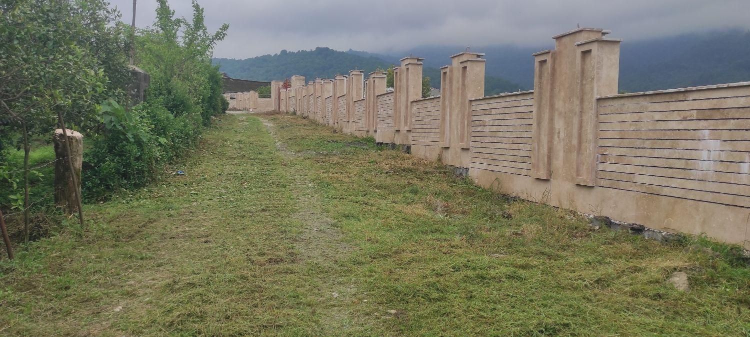 زمین،بافت باغات،نشتارود،کترا،طالش محله|فروش زمین و ملک کلنگی|نشتارود, |دیوار