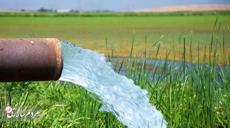 فروش یک ساعت اب و دو دانگ زمین چاه شهید رازقی|فروش زمین و ملک کلنگی|خواف, |دیوار