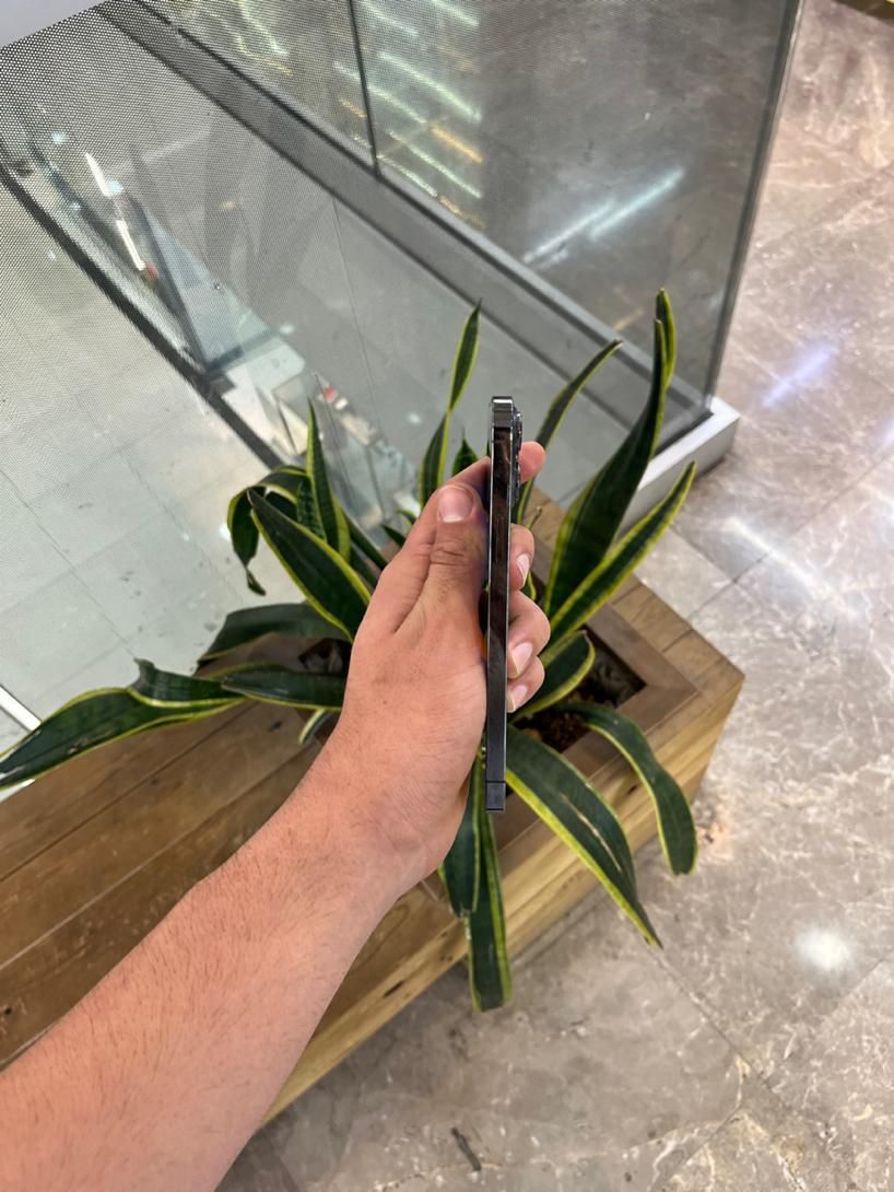 iphone 13 pro max 256 لازرورق|موبایل|کرج, درختی|دیوار