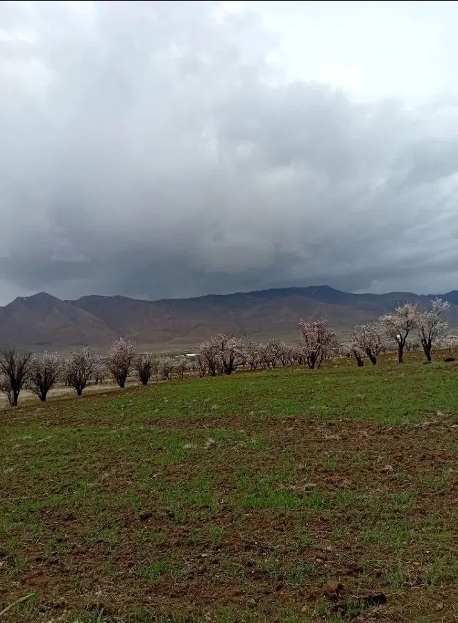 فروش زمین ۱۲ هزار متر واقع در شهر گلسار (ویست)|فروش زمین و ملک کلنگی|تهران, انبار نفت|دیوار