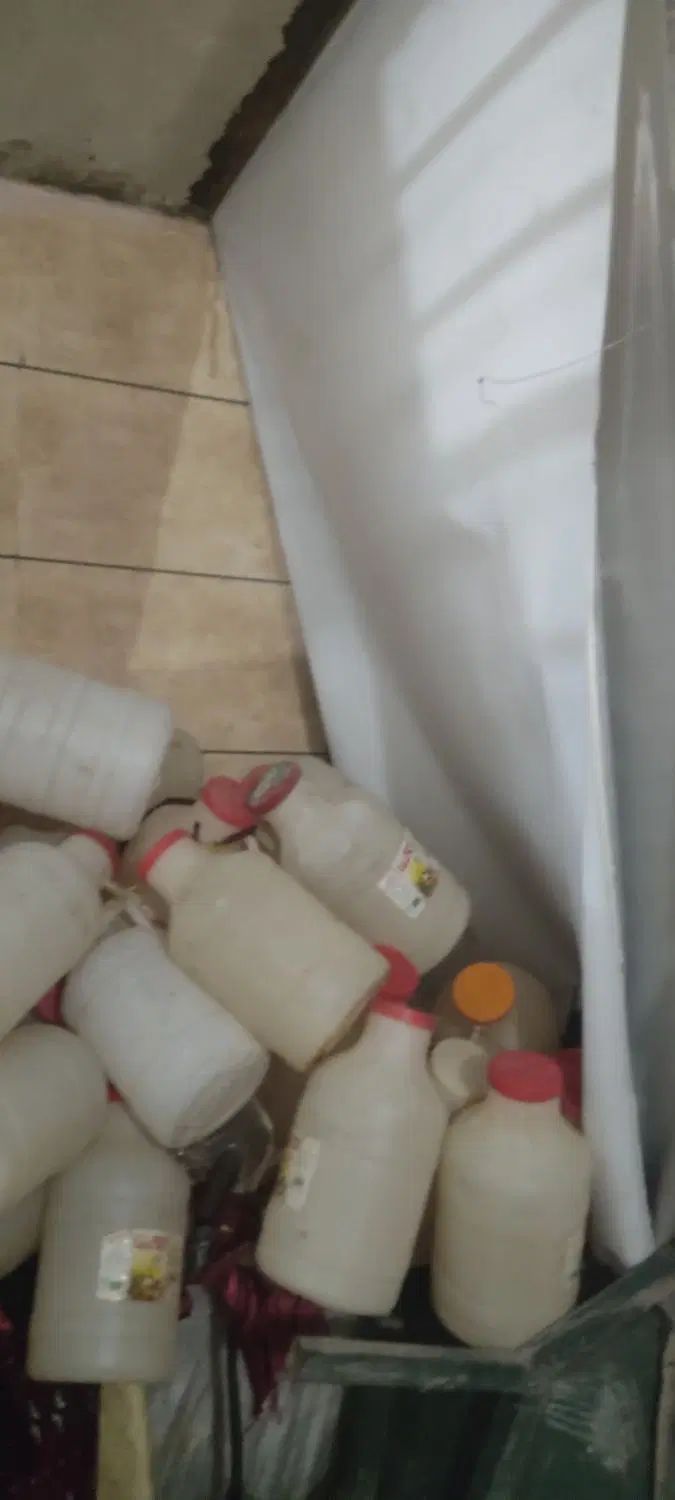 دبه ترشی ۳۰تا|ظروف نگهدارنده، پلاستیکی، یک‌بارمصرف|مشهد, طبرسی شمالی|دیوار
