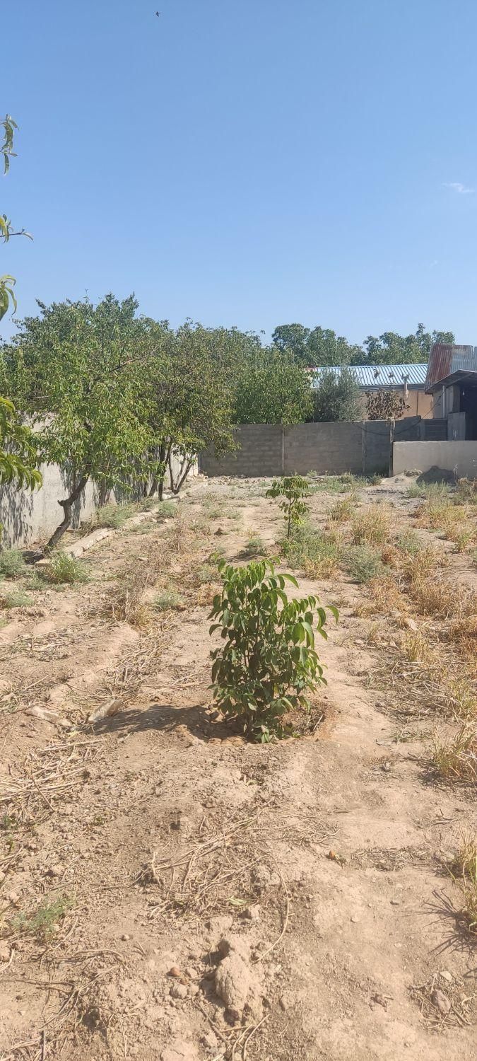 ۱۰۰۶ متر ویلایی سوله با سند تک برگی سه راه طالقان|فروش خانه و ویلا|کرج, گلشهر|دیوار