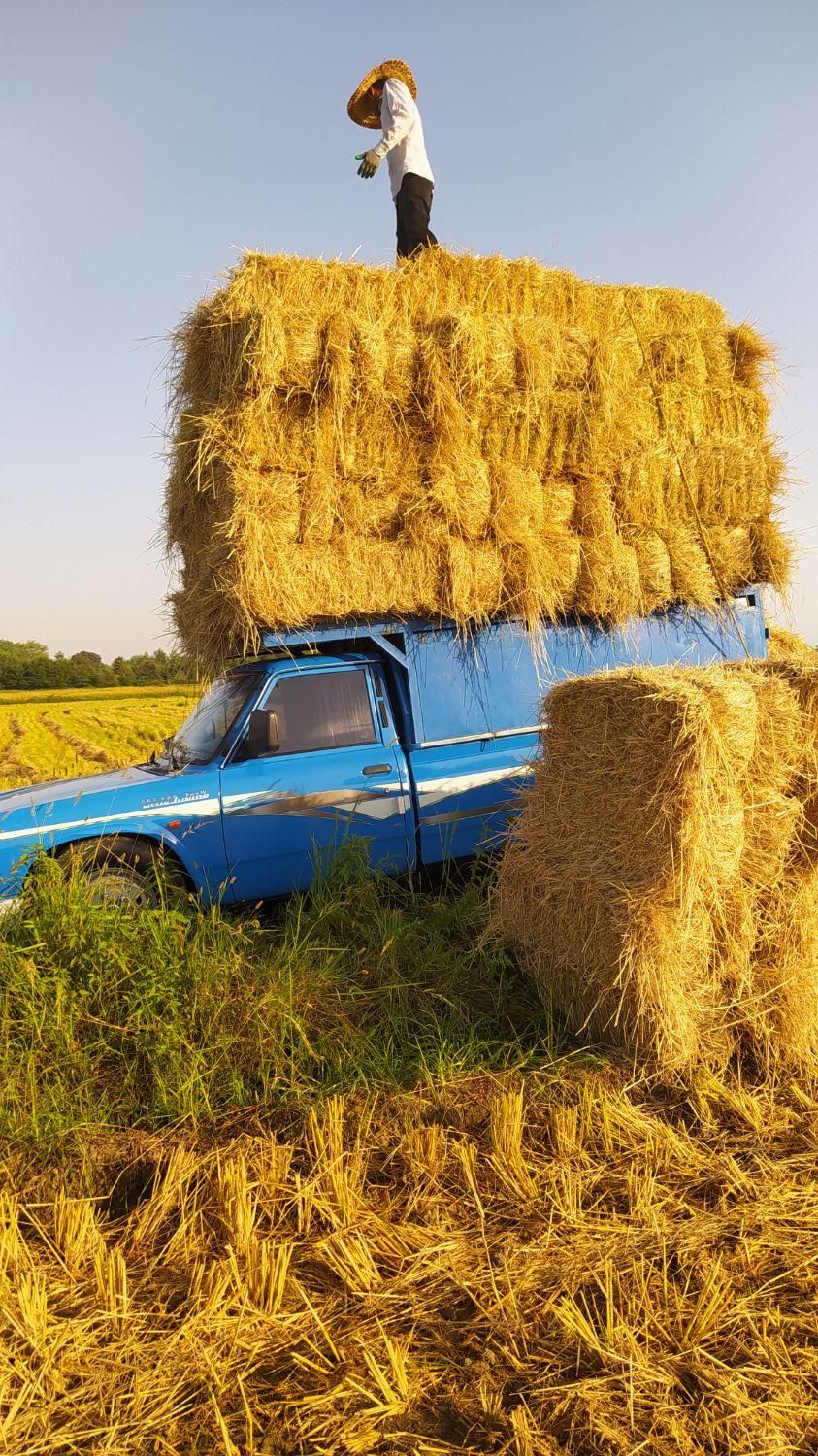 نیسان بار شهر|خدمات حمل و نقل|رضوانشهر, |دیوار