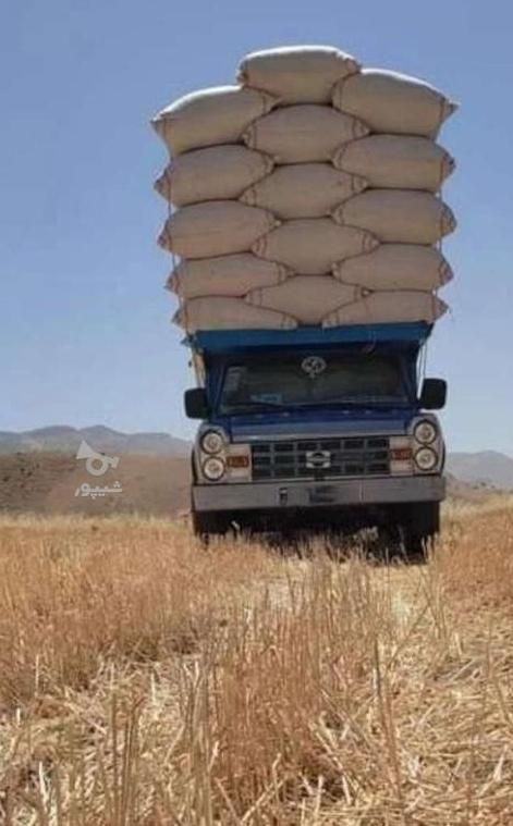 خریدار کاه نخود|خدمات باغبانی و درختکاری|کرمانشاه, |دیوار