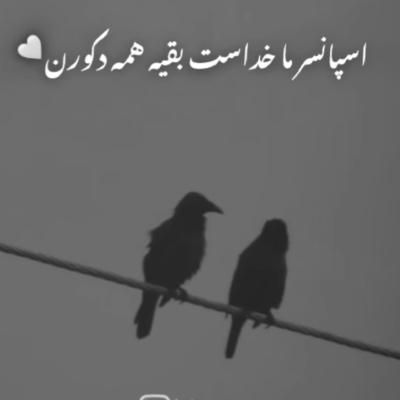 هرکسی نیاز به اسکان داره درخدمتم رایگان .|اسکان اضطراری|فردوس (خراسان), |دیوار