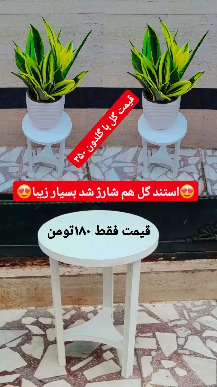 فروش گل و گیاه طبیعی|گل و گیاه طبیعی|رشت, عینک|دیوار