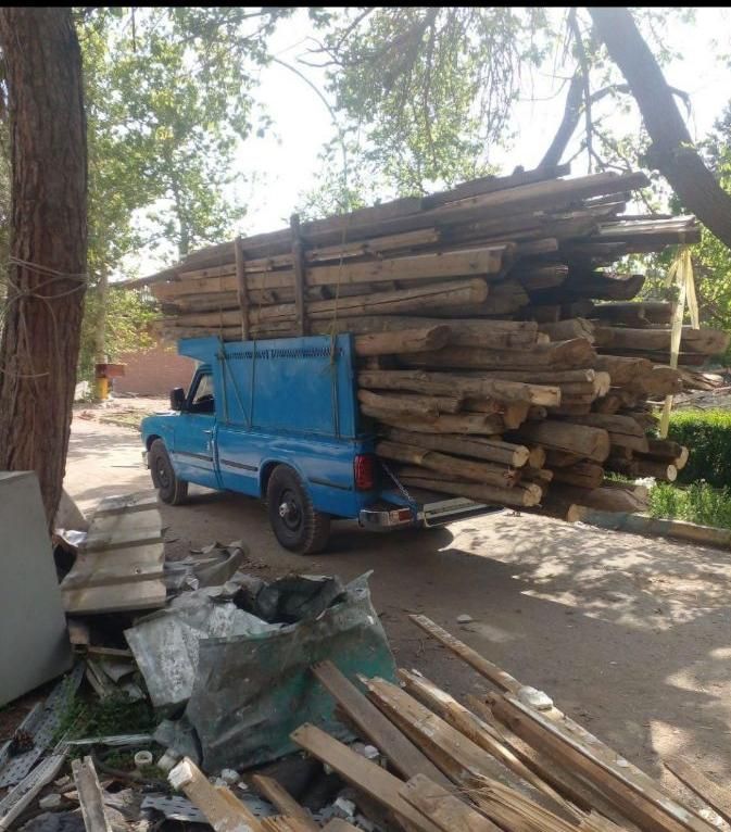 خرید وبرش چوب|خدمات باغبانی و درختکاری|بیرجند, |دیوار