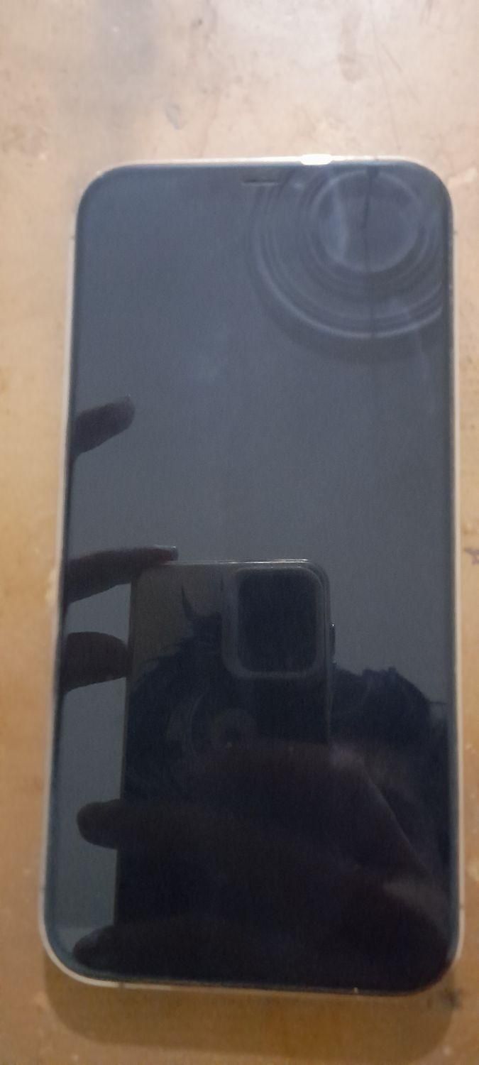 اپل iPhone 12 Pro Max با حافظهٔ ۲۵۶ گیگابایت|موبایل|شهریار, |دیوار