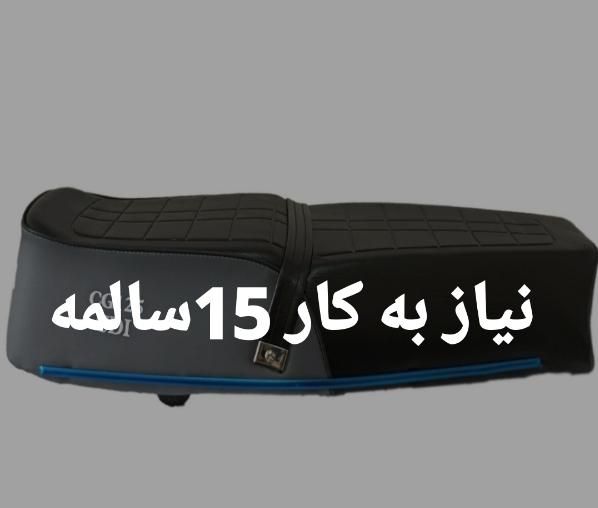 زین گمشده ،به عکس دقت کنید|اشیا|سراوان, |دیوار