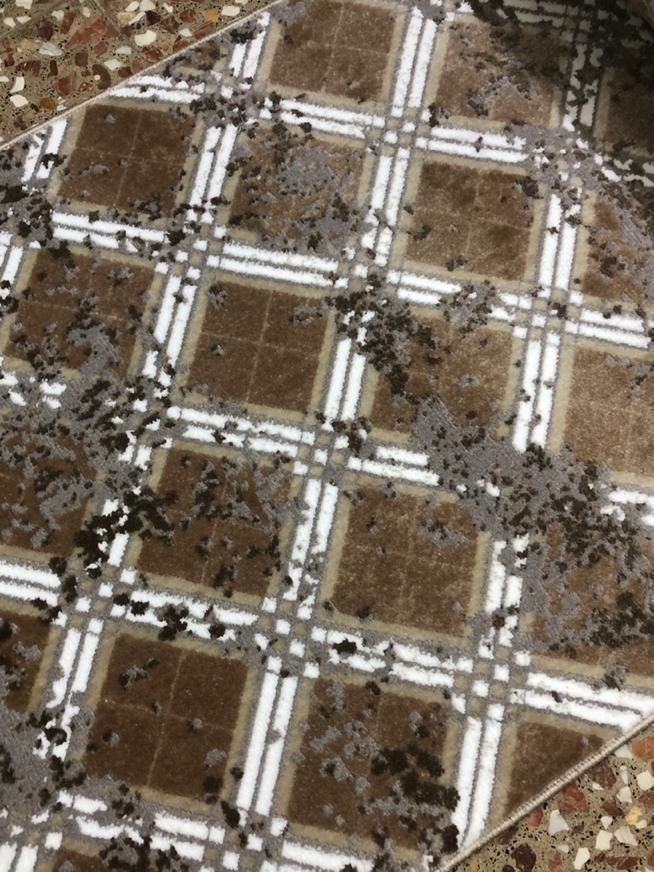 فروش ویژه فرش کلاسیک موکت مدرن|فرش|قم, امامزاده ابراهیم|دیوار