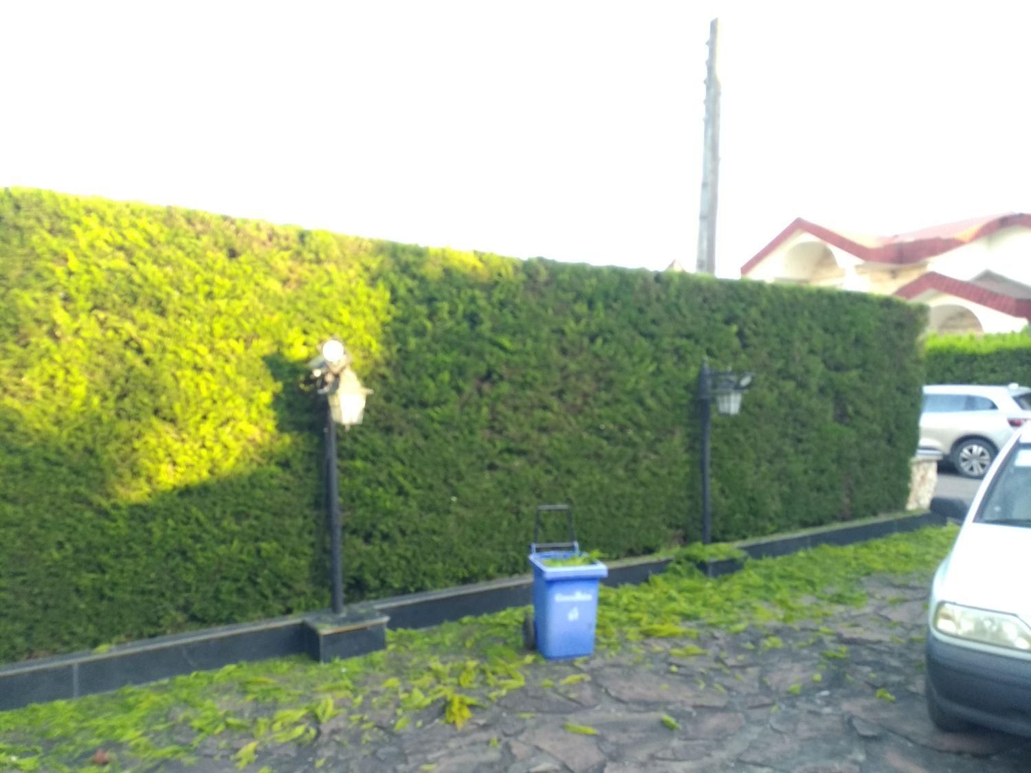 باغبانی و کارواش حیاط و سقف ویلا|خدمات باغبانی و درختکاری|سلمانشهر, |دیوار