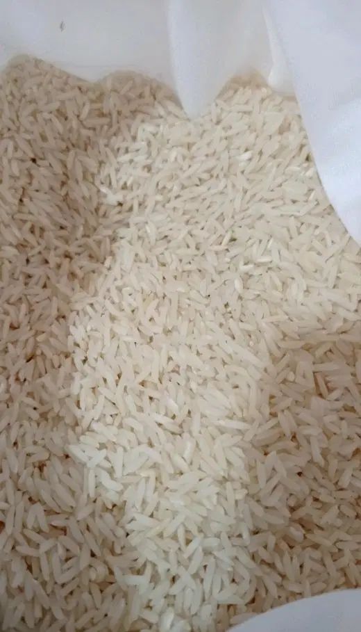برنج هاشمی درجه ۱|خوردنی و آشامیدنی|رشت, عینک|دیوار