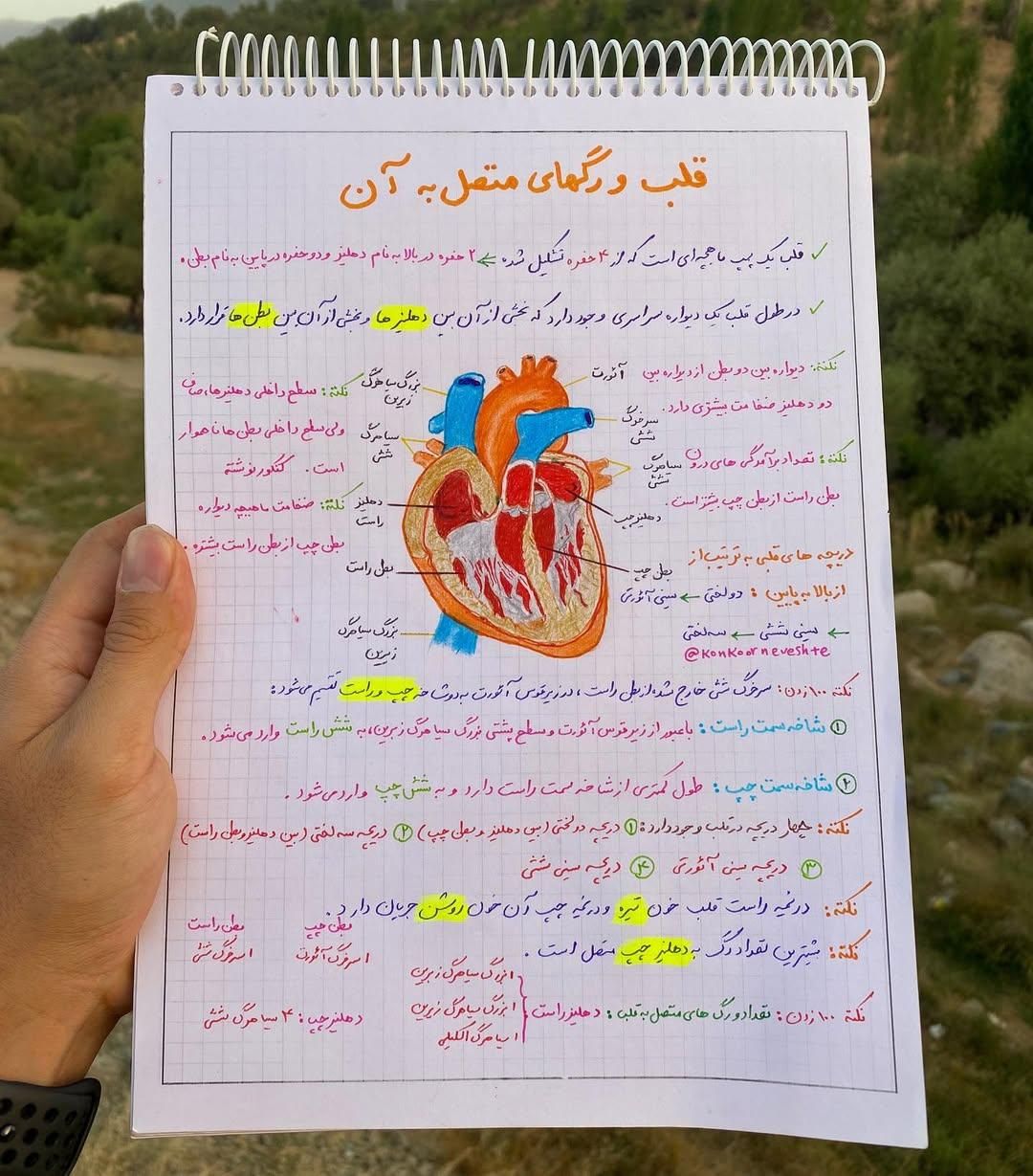 مشاورکنکور ، کنکور ، مشاور تحصیلی ، مشاور تحصیلی|خدمات آموزشی|اصفهان, باغ زرشک|دیوار