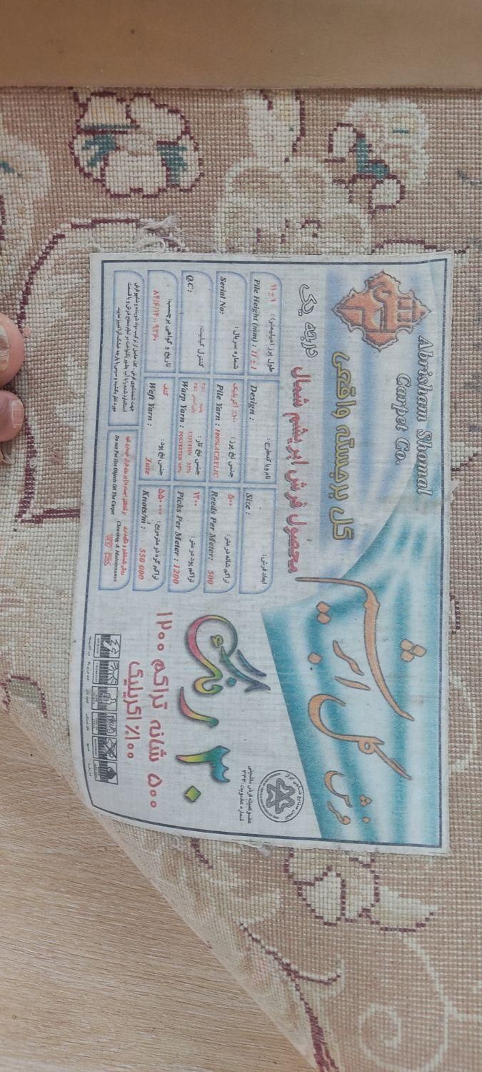 فرش|فرش|سمنان, |دیوار