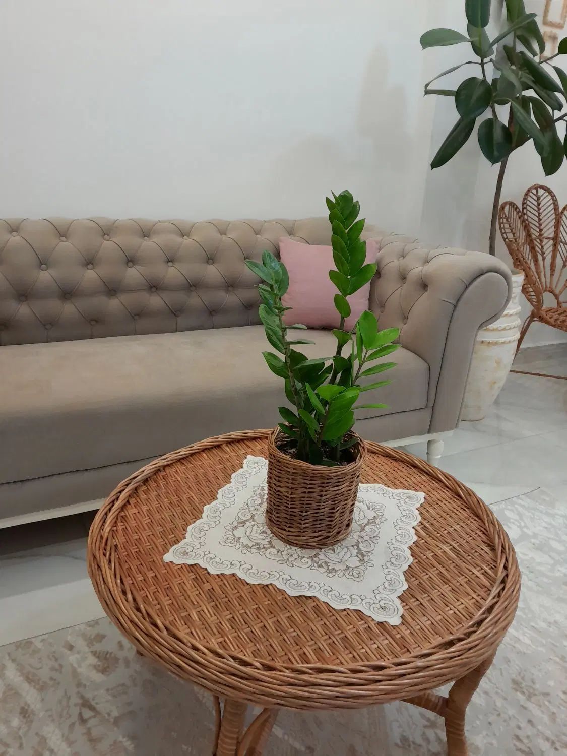 مبل|مبلمان خانگی و میز عسلی|رشت, جهاد|دیوار