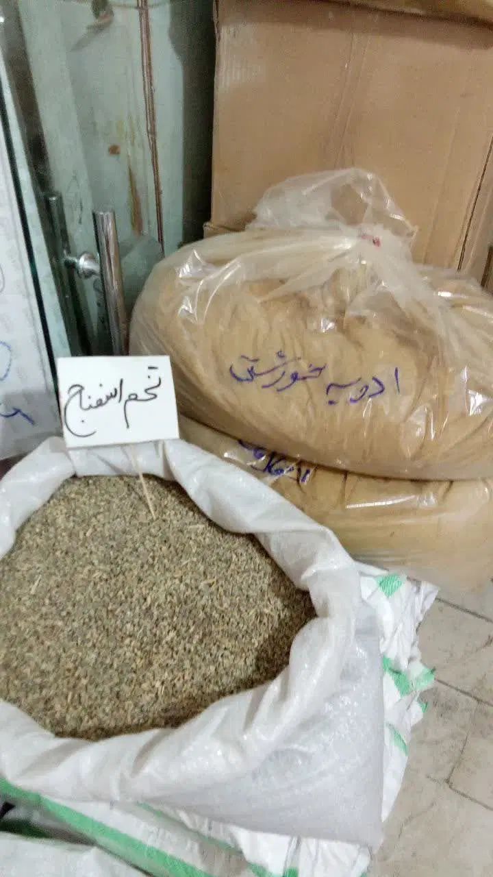 پخش عمده تخم یونجه و تخم تره تخم جعفری وکرفس وغیره|گل و گیاه طبیعی|تهران, تهرانسر غربی|دیوار