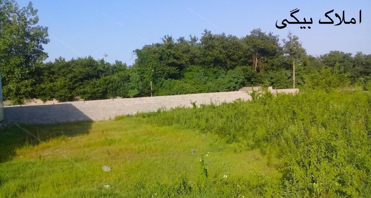زمین باغ در اقدسیه چهارباغ طاووسیه سهیلیه افشاریه|فروش زمین و ملک کلنگی|کرج, کمال‌شهر|دیوار