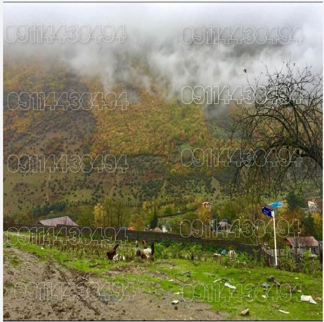 زمین بافت 100درصد مسکونی نزدیک ابگرم معدنی لاویج|فروش زمین و ملک کلنگی|نور, |دیوار