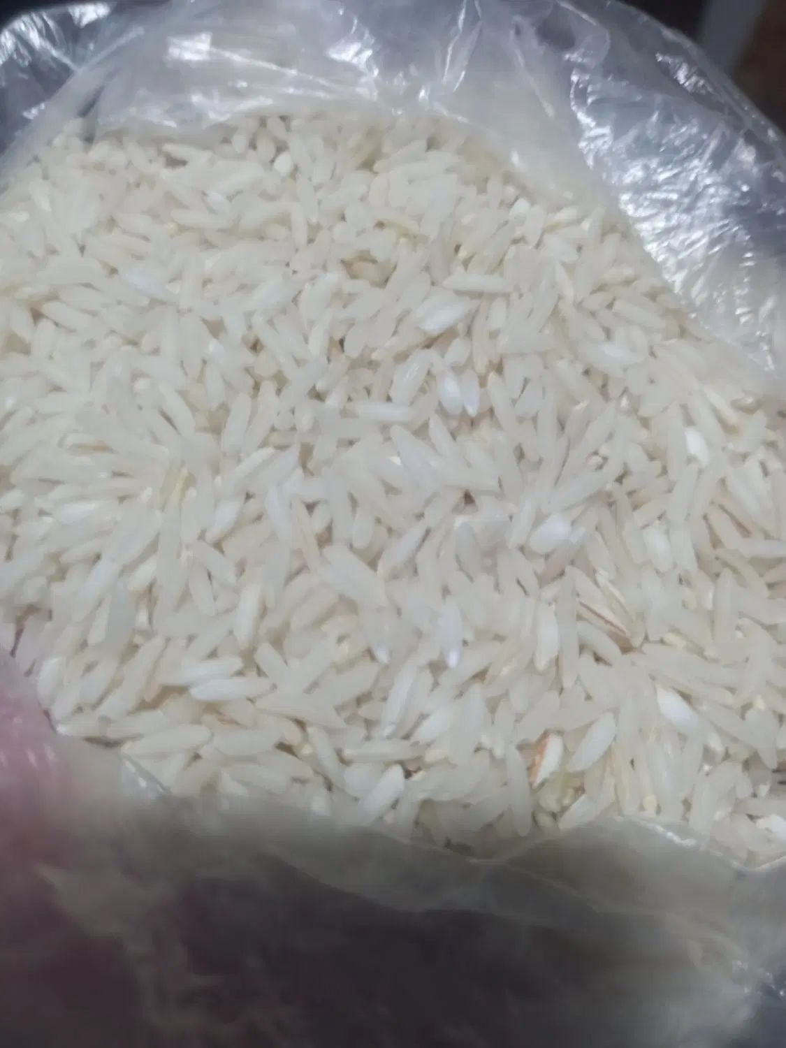 برنج هاشمی گرم محصول امسال|خوردنی و آشامیدنی|رشت, پستک|دیوار