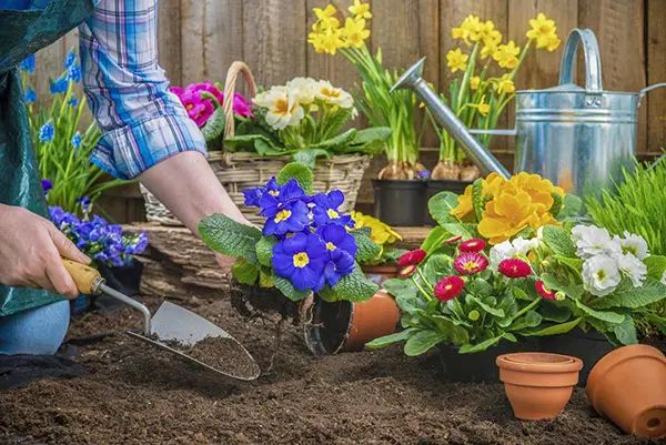 انجام خدمات وکارهای نظافت خونه پله دفتر کار شرکت|خدمات نظافت|تهران, شهرک غرب|دیوار