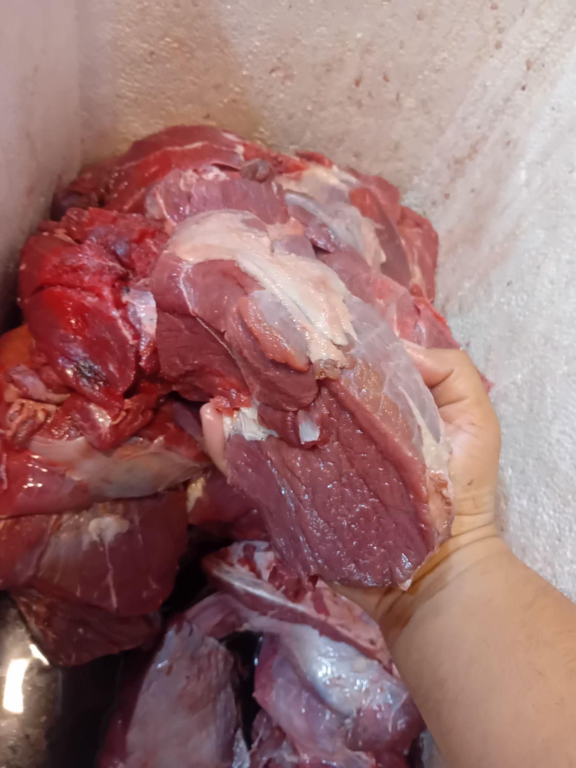 گوشت گوساله / خرده گوشت / سردست تازه درجه یک|خوردنی و آشامیدنی|تهران, صادقیه|دیوار