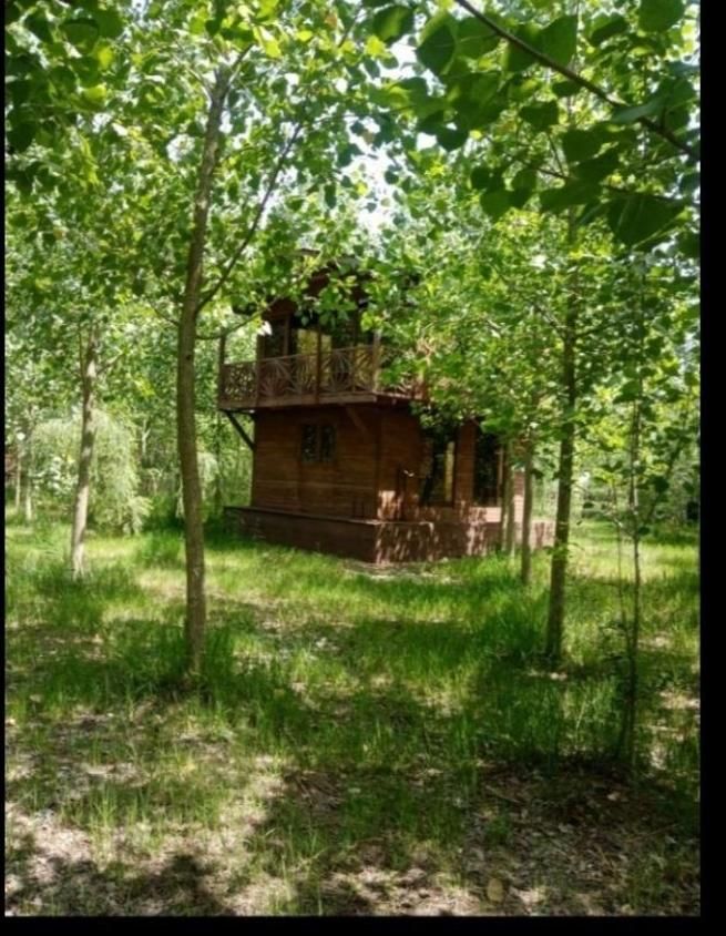 فروش ویلا با جزایر محوطه سازی شده|فروش خانه و ویلا|جهرم, |دیوار