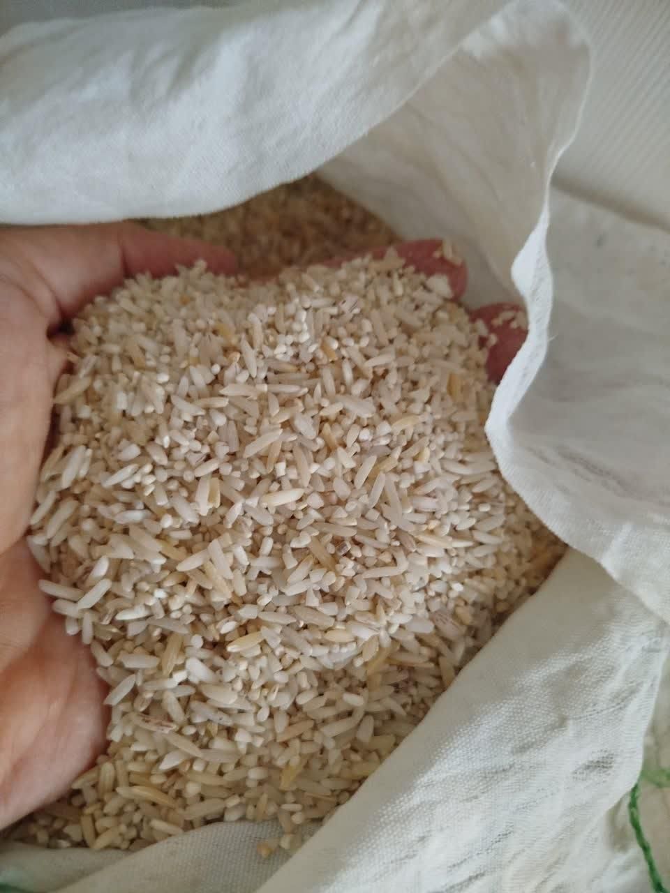 برنج لاشه هاشمی لاشه طارم محلی باتخفیف ویژه محدود|خوردنی و آشامیدنی|ملایر, |دیوار