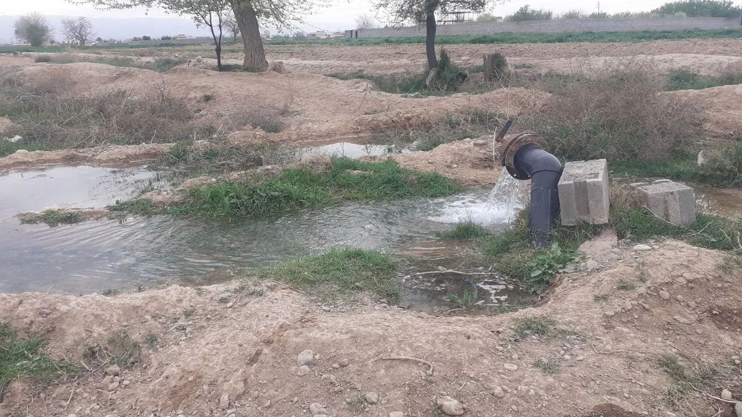 فروش زمین شاهنامه ۶۹آرامگاه فردوسی شهرک ویلای زاک|فروش زمین و ملک کلنگی|مشهد, توس (بلوار توس)|دیوار