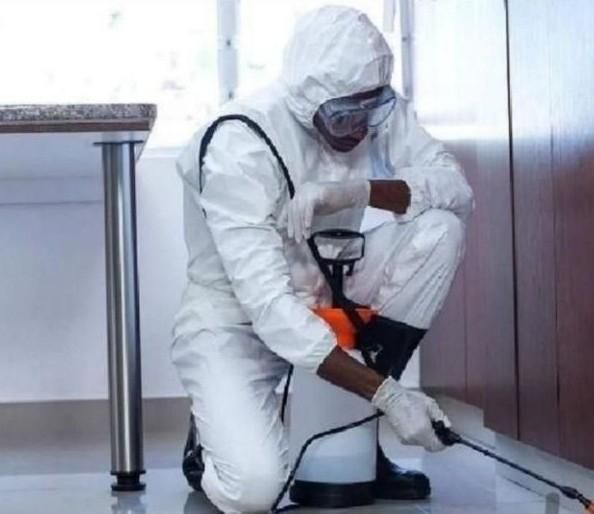 سمپاشی× حشرات×ساس موریانه سوسک کابینت سم خالص بشرط|خدمات نظافت|آبادان, |دیوار