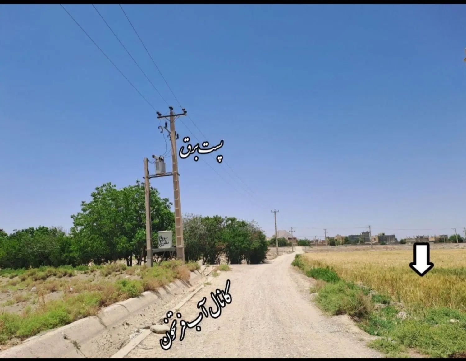 ۱۰۰۰ متر زمین کشاورزی باغ کنار جاده کانال تیربرق|فروش دفتر صنعتی، کشاورزی، تجاری|پیر بکران, |دیوار