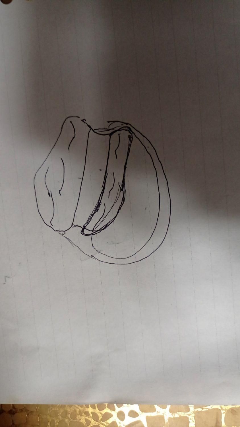 انگشتر طلای من گمشده|اشیا|کاشان, ملک آباد|دیوار