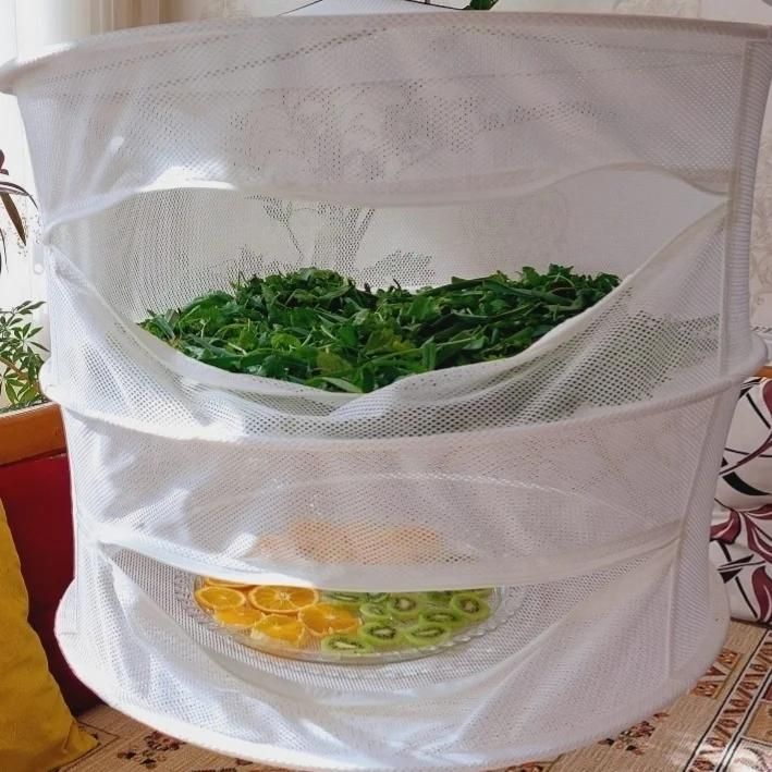 توری  سبزی خشک کن|ظروف نگهدارنده، پلاستیکی، یک‌بارمصرف|تبریز, |دیوار