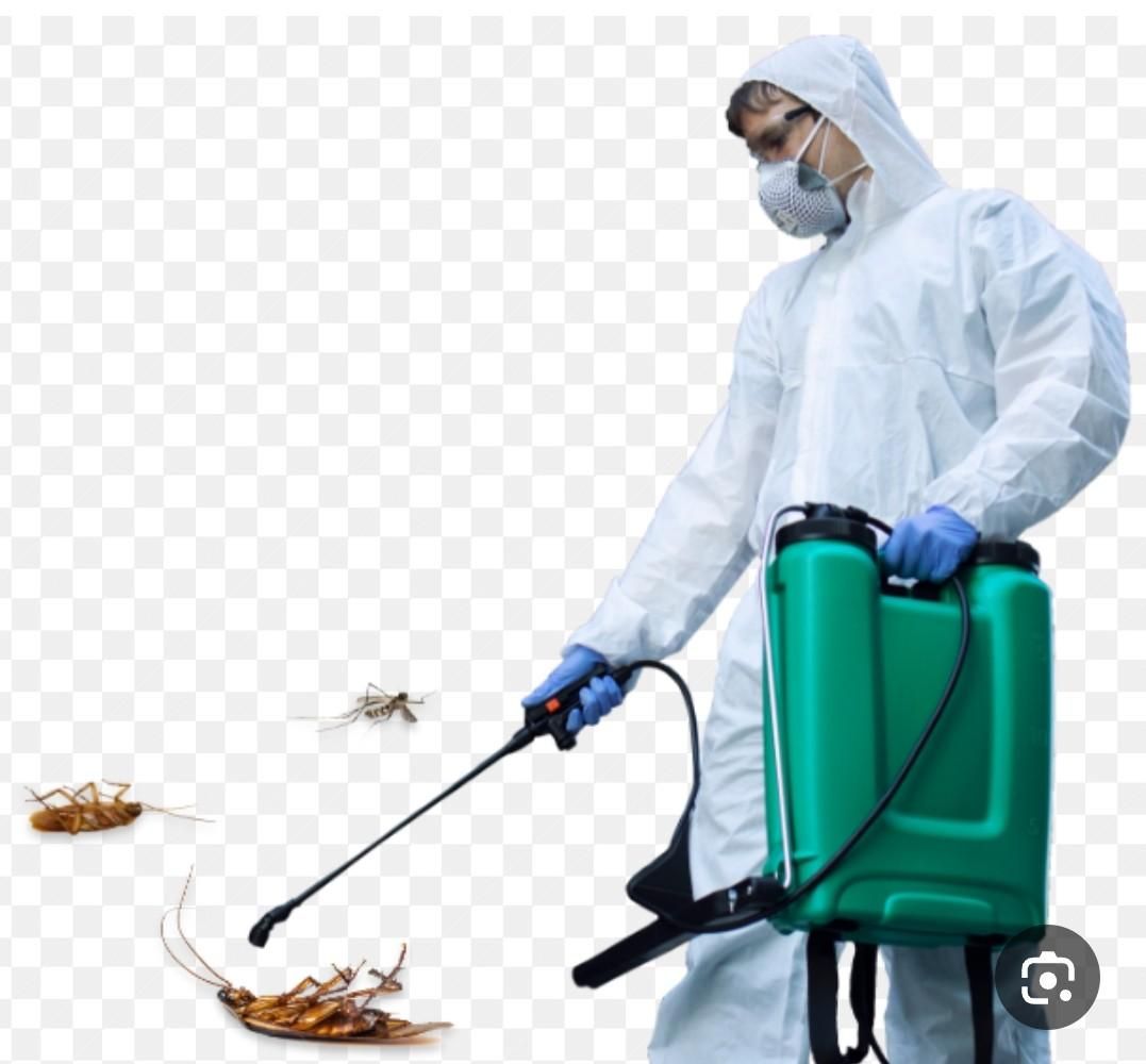 سم پاشی.سمپاشی|خدمات باغبانی و درختکاری|خرم‌آباد, |دیوار