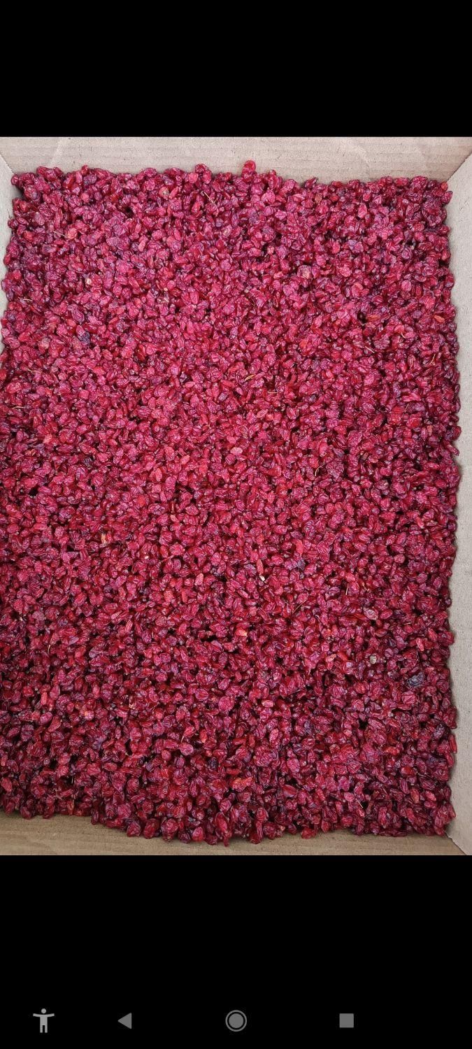 آلو آلوچه لواشک زرشک گیلاس آلبالو کشمش عناب توت|خوردنی و آشامیدنی|مشهد, هنرور|دیوار