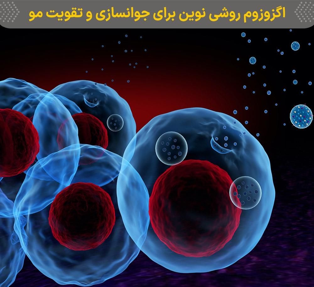 روش درمانی با سلول بنیادی یا اگزوزوم از خون فرد|خدمات آرایشگری و زیبایی|مشهد, بهشت|دیوار
