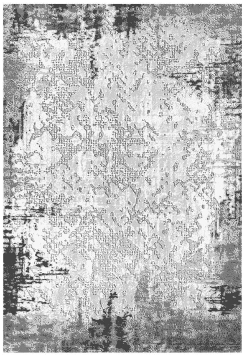 فرش ساحل،تعویض فرش|فرش|بندرعباس, |دیوار