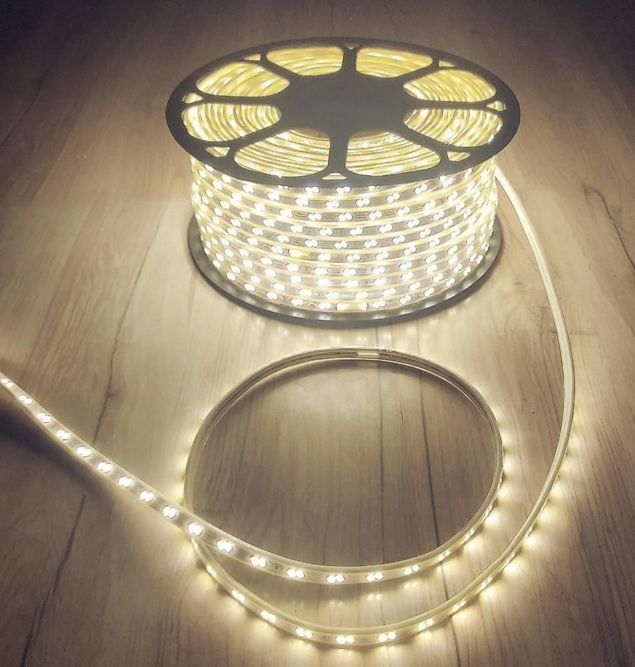 ریسه شلنگی نور مخفی آفتابی و سفید|ریسه و چراغ تزئینی|تهران, فردوسی|دیوار