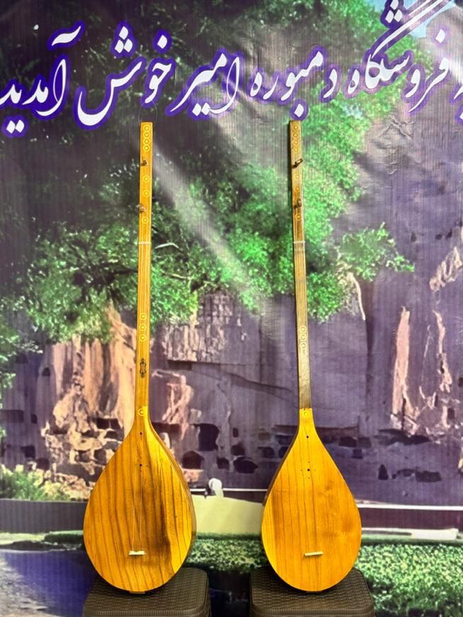 دمبوره یادگیری|سازهای سنتی|باقرشهر, |دیوار